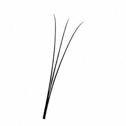 3D - narrow